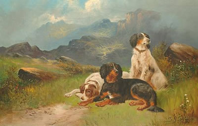 Setters in a highland landscape