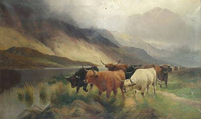 A Herd of Highland Cattle Heading Towards the Lake