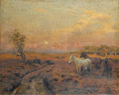 Moonrise Before Sunset in the New Forest