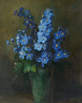 Delphiniums