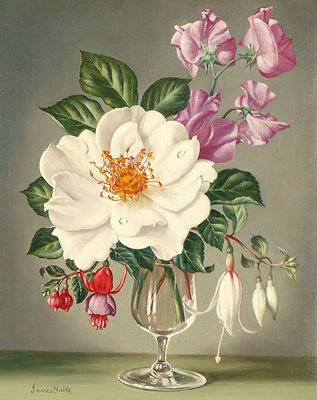 Rose, Sweet Peas and Fuschias