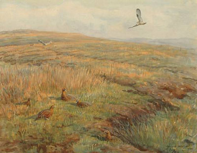 Grouse on the moor with owls overhead by Donald Watson - Auction record, sale price, and art valuation. Compare with similar artists and explore comparable artworks.