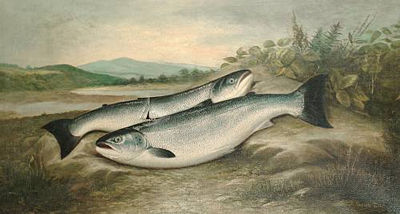Dhuie Russell-Tully - artist photo