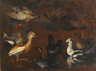 A Smew, Garganey, Squacco Heron, Wigeon, Glossy Ibis and ducks in a landscape by Pietro Neri Scacciati - Auction record, sale price, and art valuation. Compare with similar artists and explore comparable artworks.