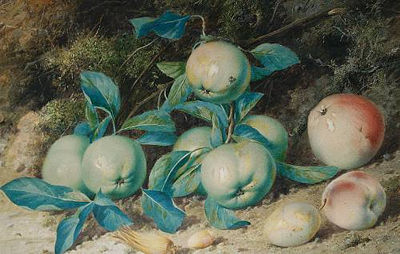 Still life of apples and hazelnuts against a mossy bank