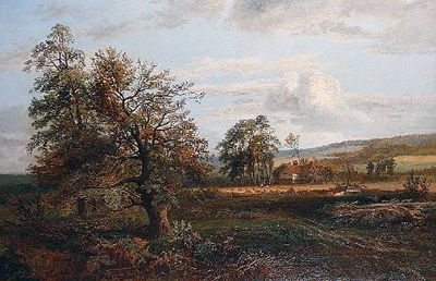 Autumn - A stream in Hampshire'