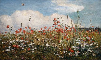 Field of poppies