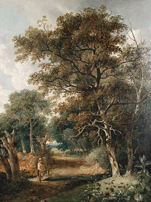 Figure on a bridge over a woodland stream