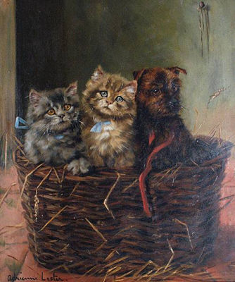 'A Christmas Hamper' - two kittens and a puppy