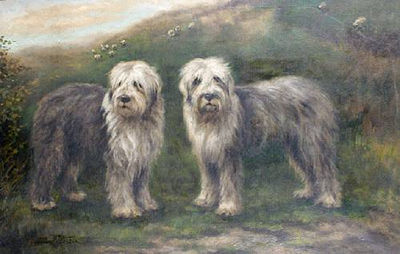 Two sheep dogs in an open landscape, with sheep beyond