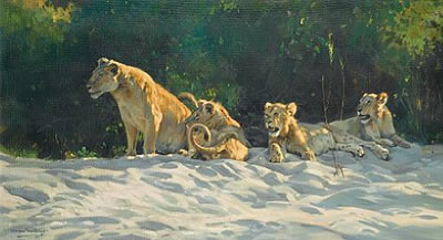 A lioness with her cubs by Dino Paravano - Auction record, sale price, and art valuation. Compare with similar artists and explore comparable artworks.