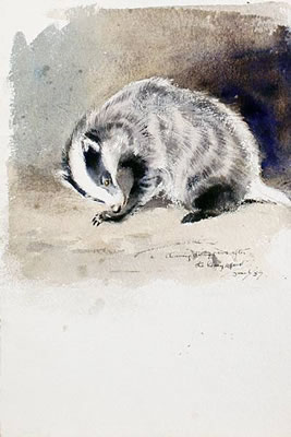 Study of a badger;fox cubs (2) by Eileen Alice Soper - Auction record, sale price, and art valuation. Compare with similar artists and explore comparable artworks.