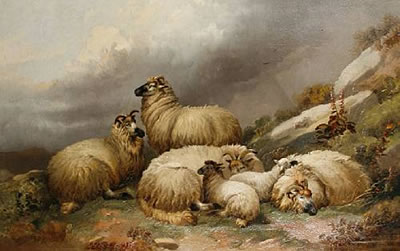 Sheep in a Highland landscape