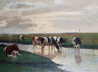 Cattle watering
