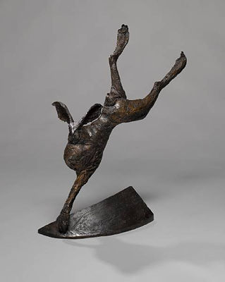 Landing hare