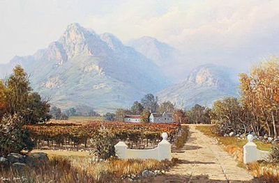 Harvest time in the Cape