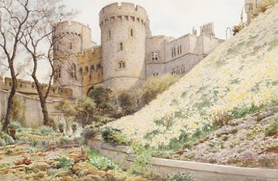 Daffodils on the hill under Round Tower, Windsor Castle