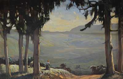 Knysna Forest