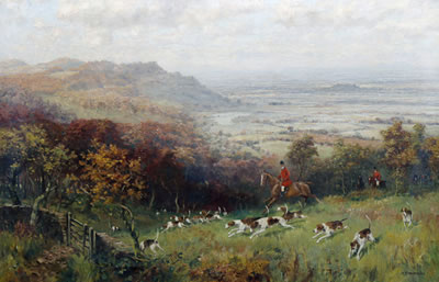 The Cotswold Hounds drawing Cranham Woods near Birdlip