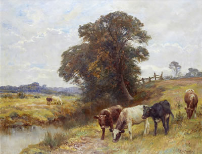 Summer pastures