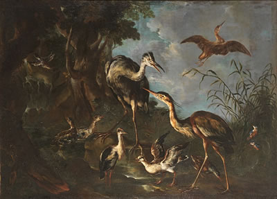 A wooded landscape with heron, kingfishers, ducks, water rail and other aquatic birds beside a pool