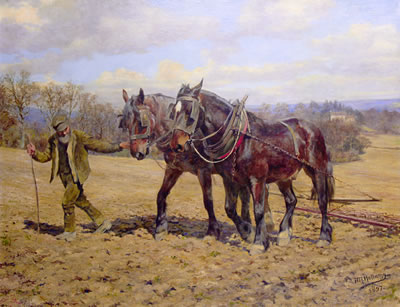 The plough team
