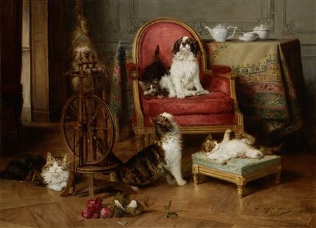 Top dog