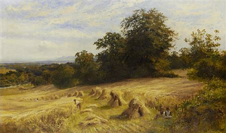 Harvest time