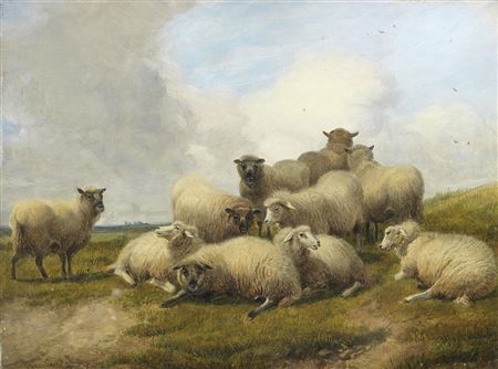 Sheep on a hillside