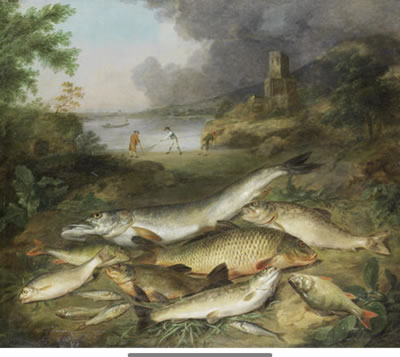 Pike, trout, carp, perch and other fish on a river bank