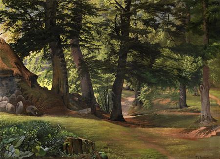 A wooded glade