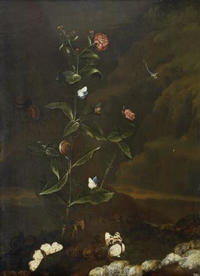 A carnation, Banded snails, a damsel-fly, a Red Admiral and various other butterflies in a forest by Dirck De Bray - Auction record, sale price, and art valuation. Compare with similar artists and explore comparable artworks.
