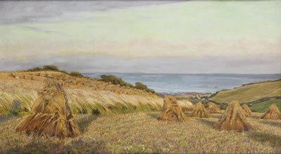 The evening harvest