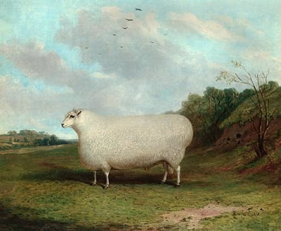 A prize Cotswold ram in a landscape