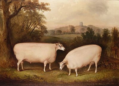 Two Leicester rams in a landscape