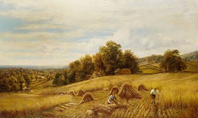 Harvest time