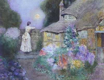 Moonlight