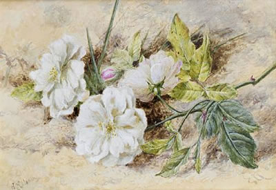 A still life of a dog rose by Helen Cordelia Angell - Auction record, sale price, and art valuation. Compare with similar artists and explore comparable artworks.