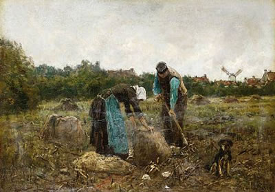 Harvest time