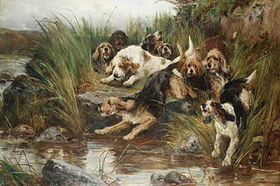 Otter hounds