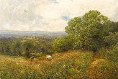 Flowers of the field