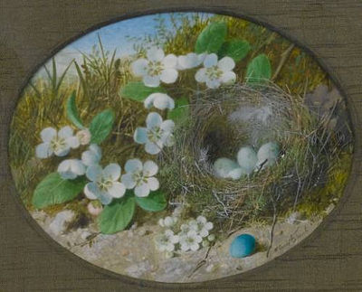 A pair of still lifes: one of a bird's nest surrounded by white flowers, a blue egg in the foreground; one of a dead bird lying beside a bird's nest surrounded by white flowers
