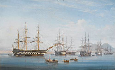 Ships of the Mediterranean Fleet lying at anchor in the Bay of Naples by Tommaso De Simone - Auction record, sale price, and art valuation. Compare with similar artists and explore comparable artworks.