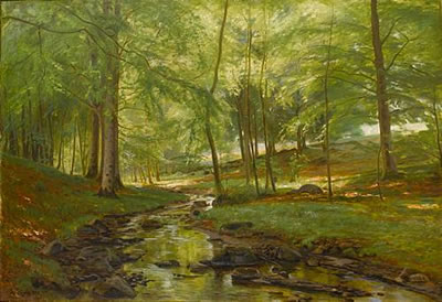 A sunlit wood