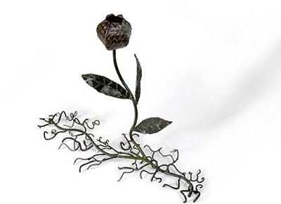 Crawling tuber-flower