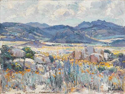 Namaqualand in bloom