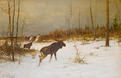 Moose in a snowy clearing