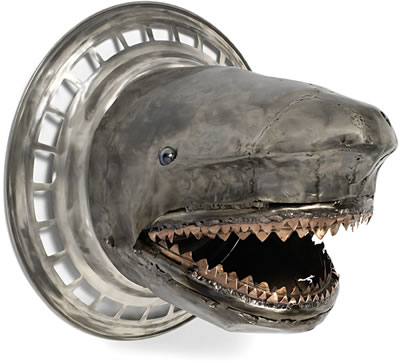 Shark Head
