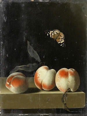 Three peaches on a stone ledge with a Red Admiral butterfly by Adriaen Coorte - Auction record, sale price, and art valuation. Compare with similar artists and explore comparable artworks.