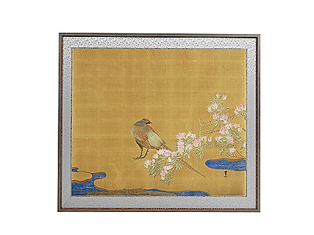 A solitary pheasant beside flowering azalea growing beside a stream